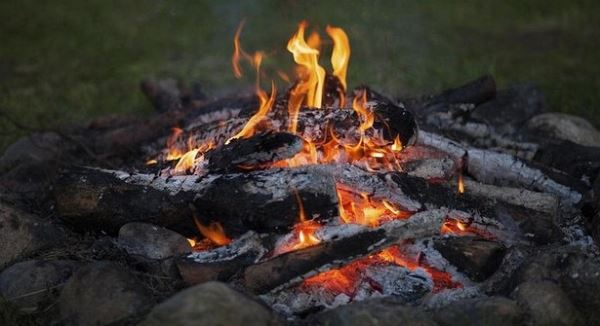 <br />
Эксперт рассказал о переходе украинцев на отопление дровами<br />
